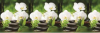 кухонный фартук АБС Орхидея белая(600Х3000Х1,5 мм)